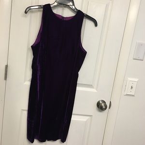 Donna Riccio Purple Velvet Dress Gown o